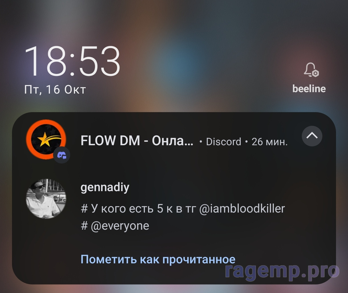 1000008039.jpg