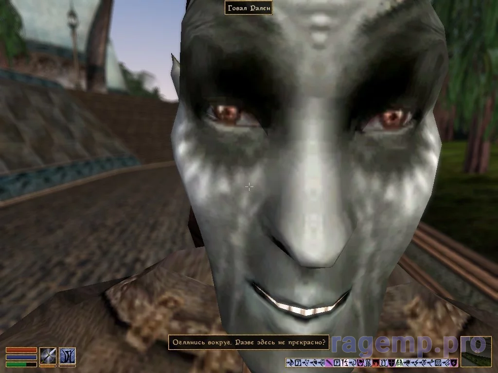 16699285756741.png