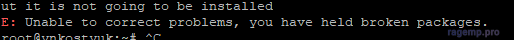 1675282234579.png