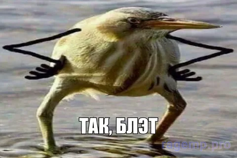 1690810611346.png