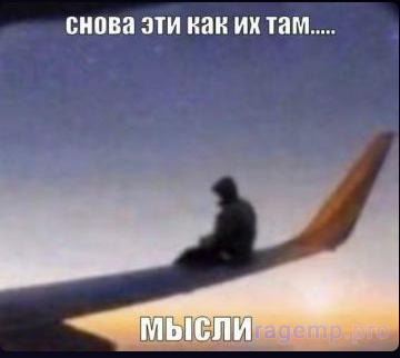 1691332019077.png