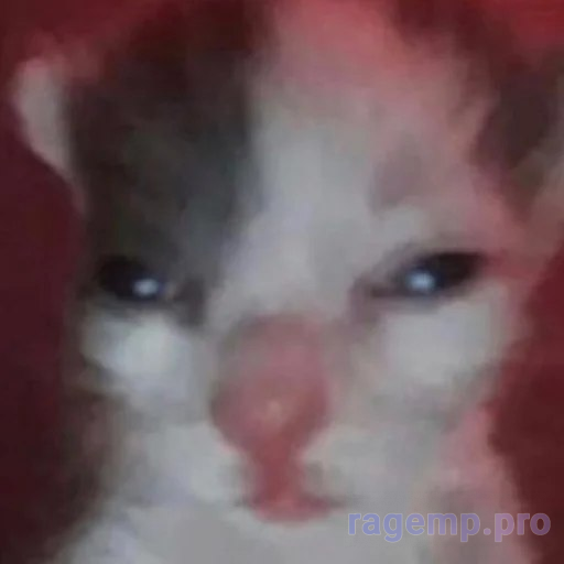 1702200137175.png