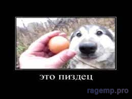 1746441632931.png