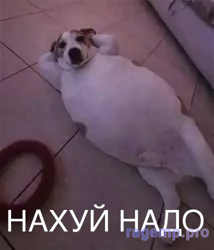 1786430140497.png