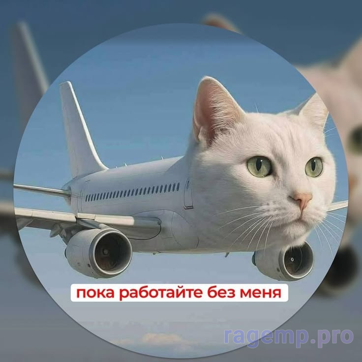 1787220865710.png