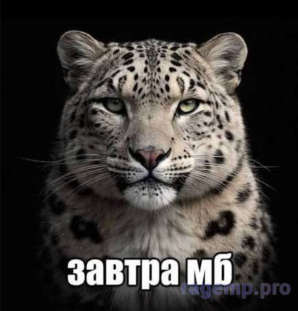 1788514987726.png