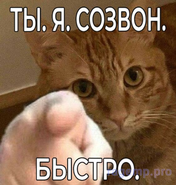 1789735431255.png
