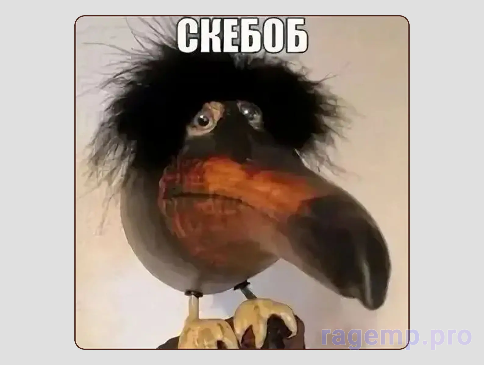 1790174502573.png