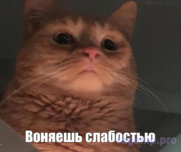 1791388921530.png