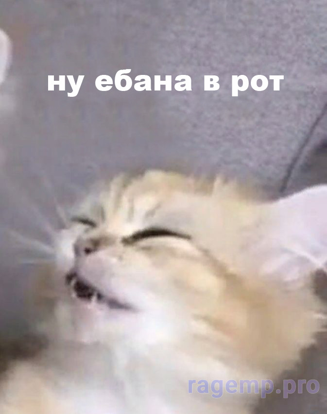 7bf447b96869aa6c06e2f24697ee3625.jpg
