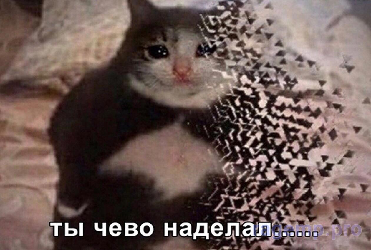 cdab400e78c94bc1995f553aa1d0926f.jpeg