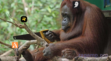 Group 546473404.png
