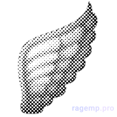 🪽.png