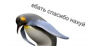 LRWVSA5PNFqB9m6N9BiCwA.jpeg