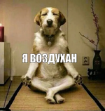 1776622768855.png