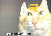 images.jpg