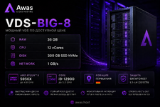 VDS-Big-8.png