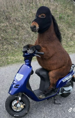 1789331703814.png