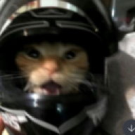 meowlink