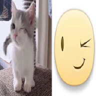 YupiKotik