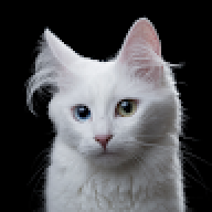 caffrey