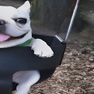 padro chill