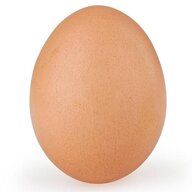 Xaxloncki