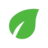 test123232